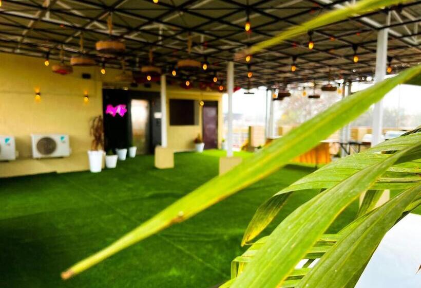 四人高级间, The कस्तूरी