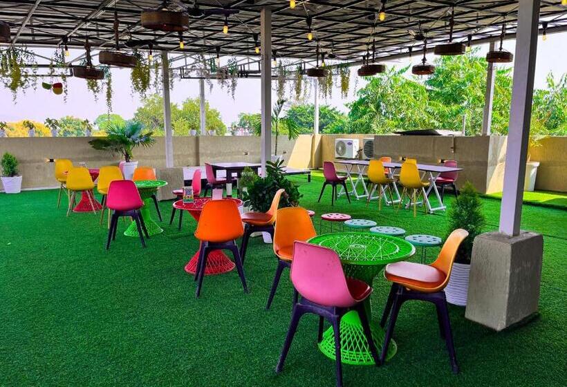 家庭套房, The कस्तूरी