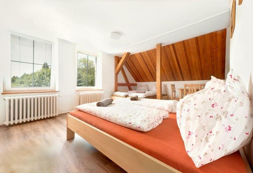 Четырехместный Номер Стандарт, Penzion Samoty