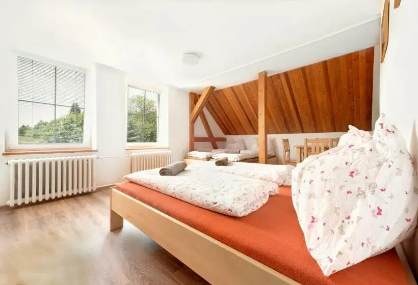 スタンダード４人部屋, Penzion Samoty
