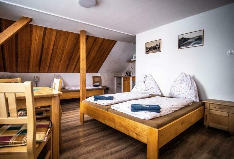 חדר סטנדרט לארבעה, Penzion Samoty