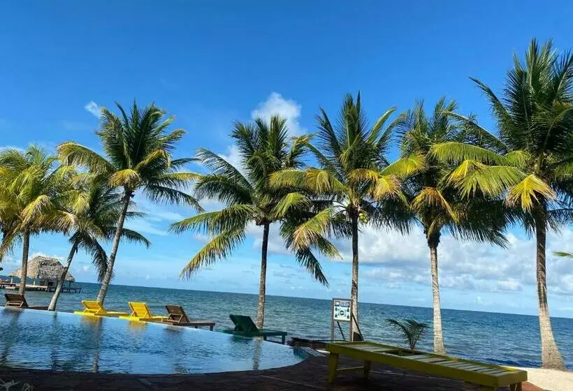 استودیوی استاندارد, Tranquility Beach Suites
