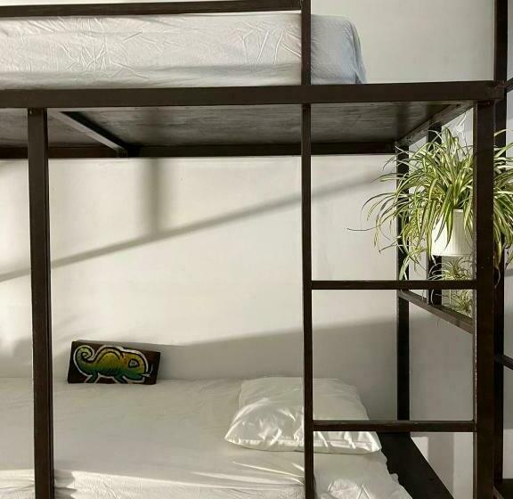 تختخواب در اتاق مشترک, Rincon Dorms