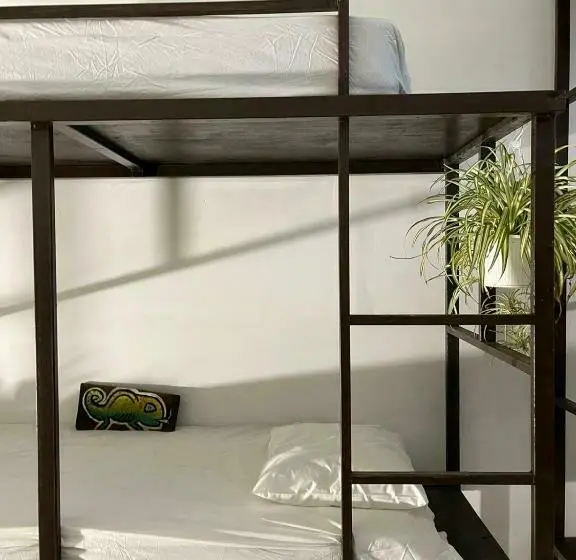 تختخواب در اتاق مشترک, Rincon Dorms