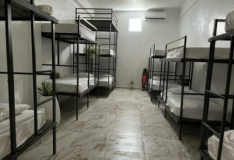 تختخواب در اتاق مشترک, Rincon Dorms