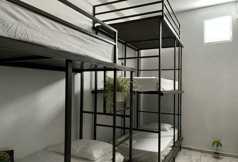 تختخواب در اتاق مشترک, Rincon Dorms