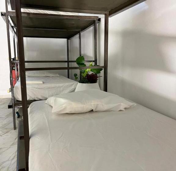 تختخواب در اتاق مشترک, Rincon Dorms