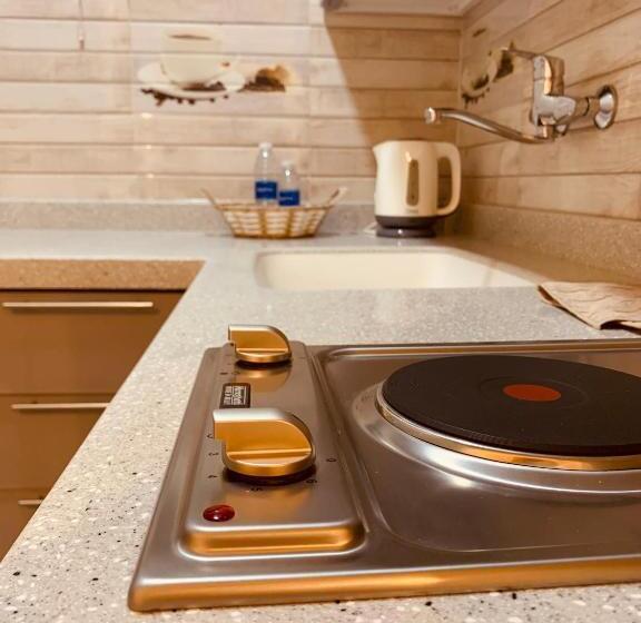 جناح مطلّ علي الحديقة, شقق الروشن الجوفي