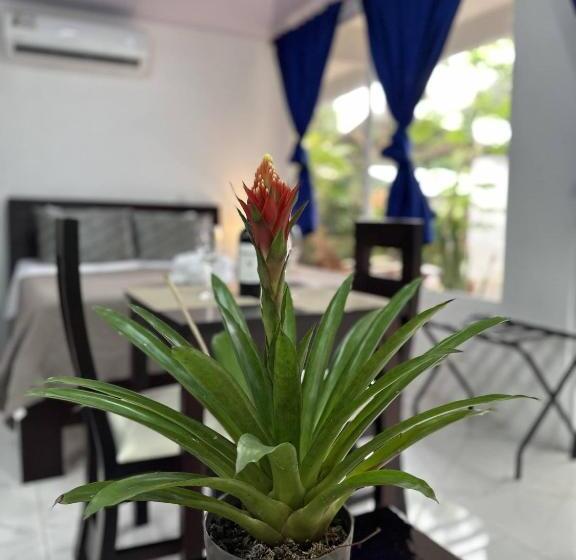 Студия Superior, Serendipity