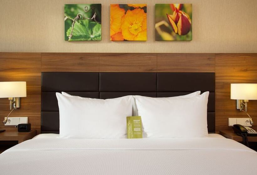 디럭스 룸, Elements Kirov Hotel 5