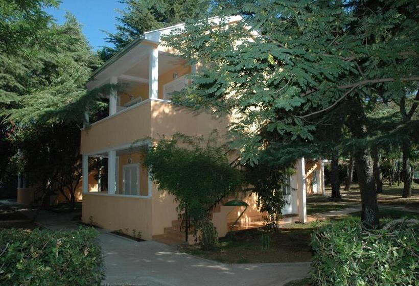 آپارتمان 1 خوابه, Kamelija