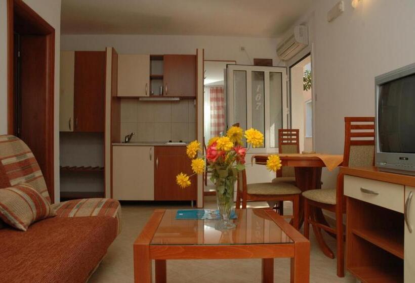 آپارتمان 1 خوابه, Kamelija