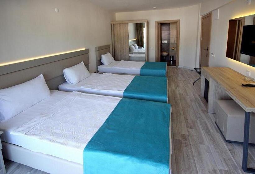 غرفة قياسية ثلاثية, Palmea