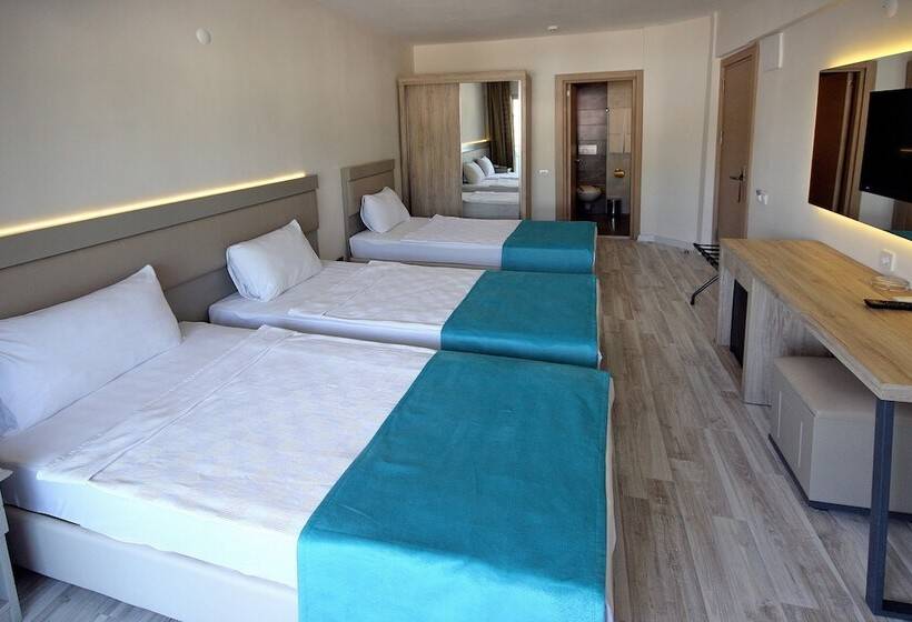 غرفة قياسية ثلاثية, Palmea