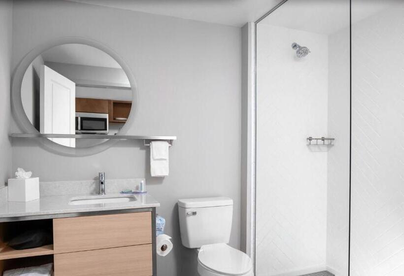 סטודיו סטנדרט, מיטה זוגית, Towneplace Suites By Marriott Tampa Clearwater