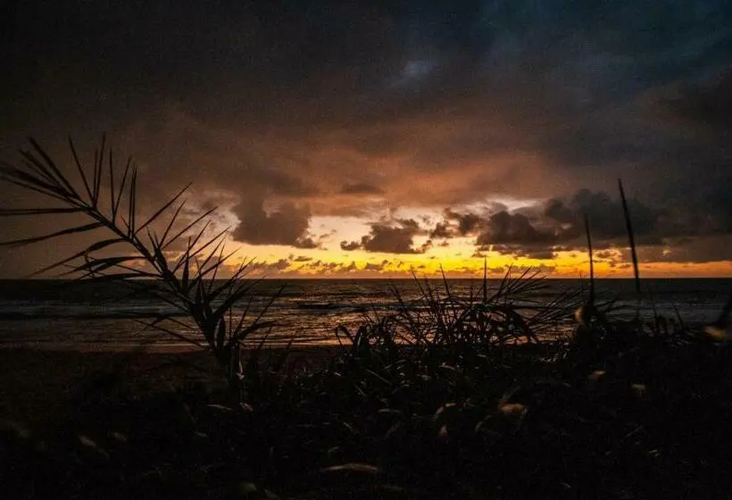 Talo 2 Makuuhuonetta, Oca Caraíva