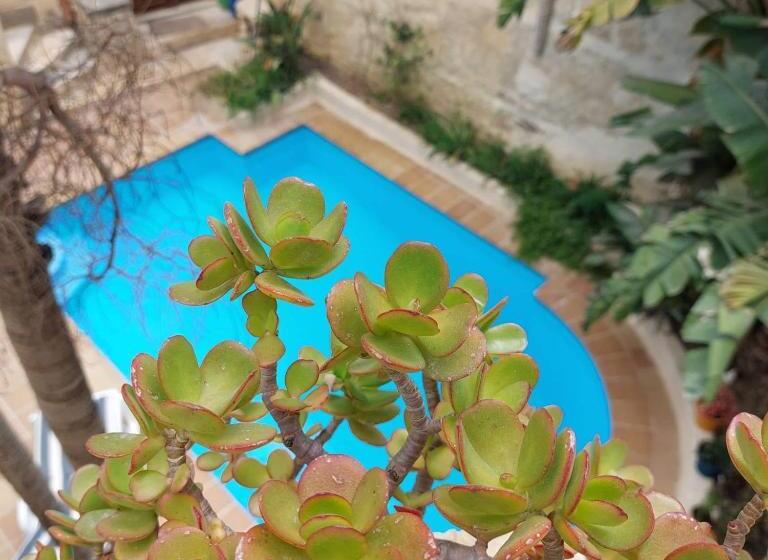 اتاق لوکس, Haven Farmhouse B&b