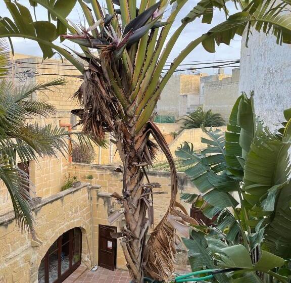 اتاق لوکس, Haven Farmhouse B&b