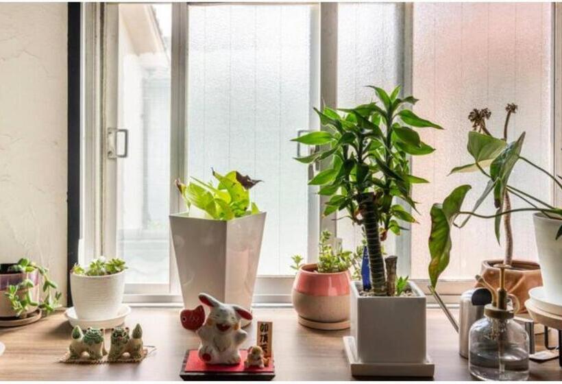 منزل غرفة نوم واحدة, Little Okawood Room303  Vacation Stay 12814