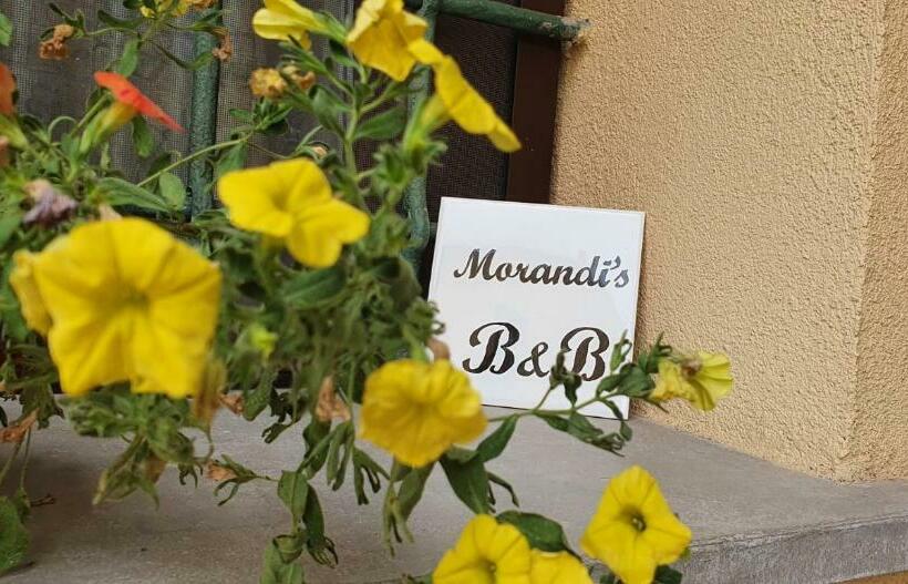 اتاق استاندارد, Morandi S