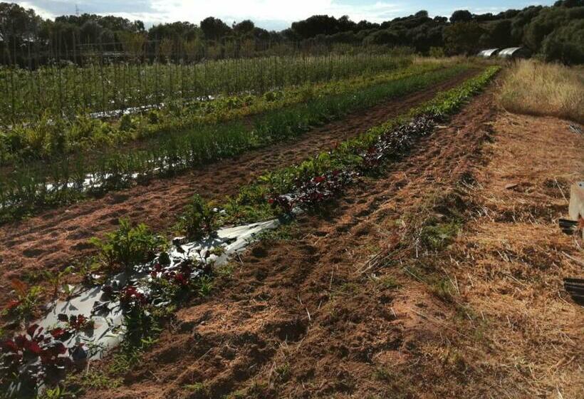 إستوديو قياسى, Agriturismo Prendas De Sole