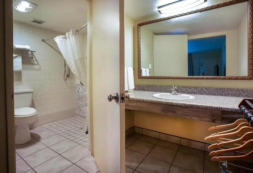 身障者適用スタンダードルーム, Studio 6 Suites Willcox Az