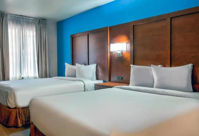 身障者適用スタンダードルーム, Studio 6 Suites Willcox Az