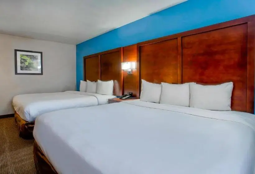 スタンダードルーム, Studio 6 Suites Willcox Az