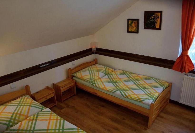 חדר סטנדרט, Zámek Poruba