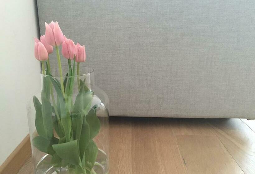 اتاق استاندارد, Antwerp Town House Accommodations