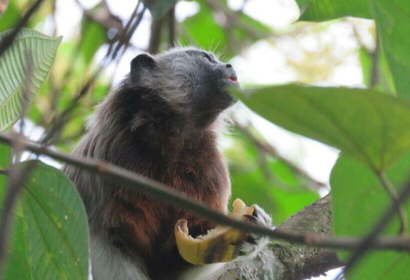 غرفة قياسية حمام مشترك, Cabaña Vista Hermosa