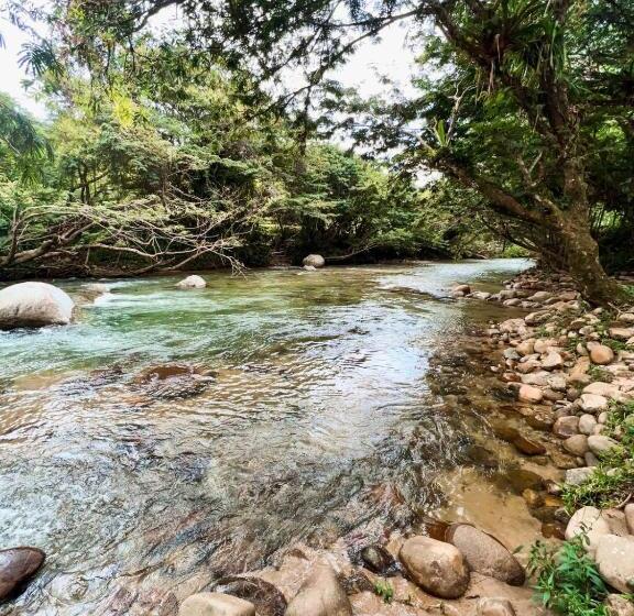 غرفة قياسية مطلة على الجبل, Cabaña Vista Hermosa