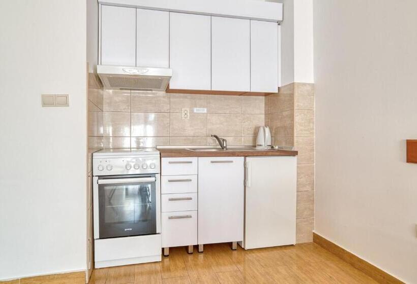 آپارتمان پرمیوم 1 خوابه با چشم‌انداز دریا, Garni Hotel Milica