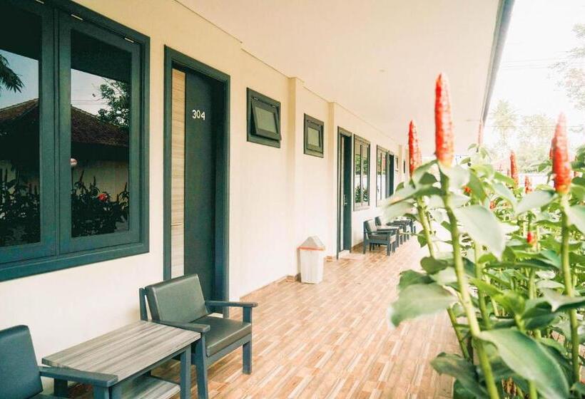 Superior Szoba, New Surya