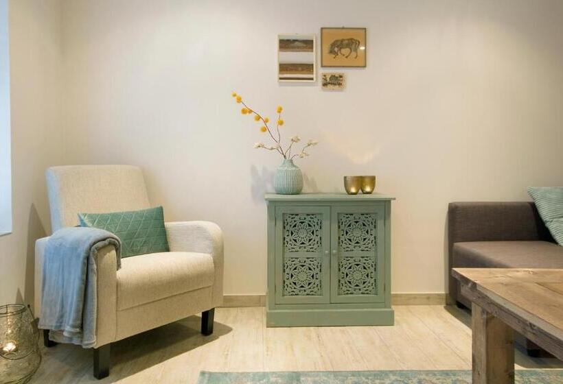 패밀리 스튜디오, Karel De Grote Bergen