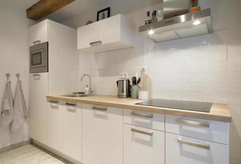 패밀리 스튜디오, Karel De Grote Bergen