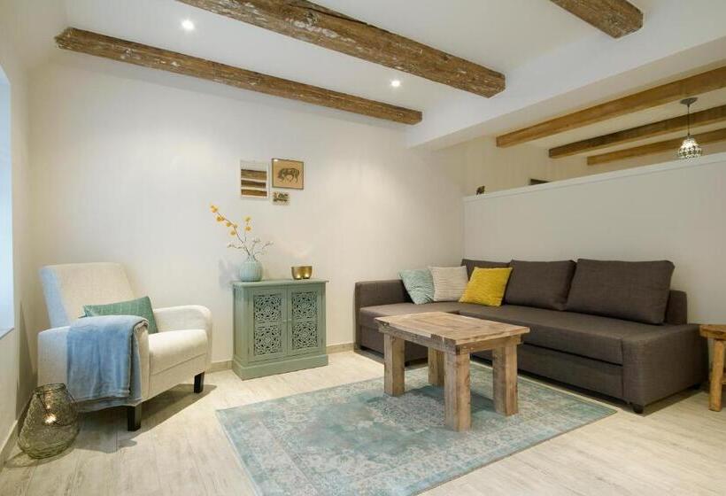 패밀리 스튜디오, Karel De Grote Bergen