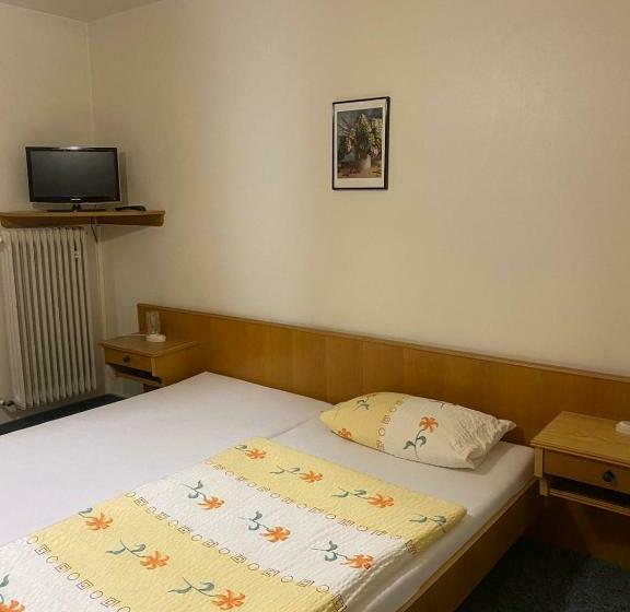 חדר אקונומי, Grüne Au