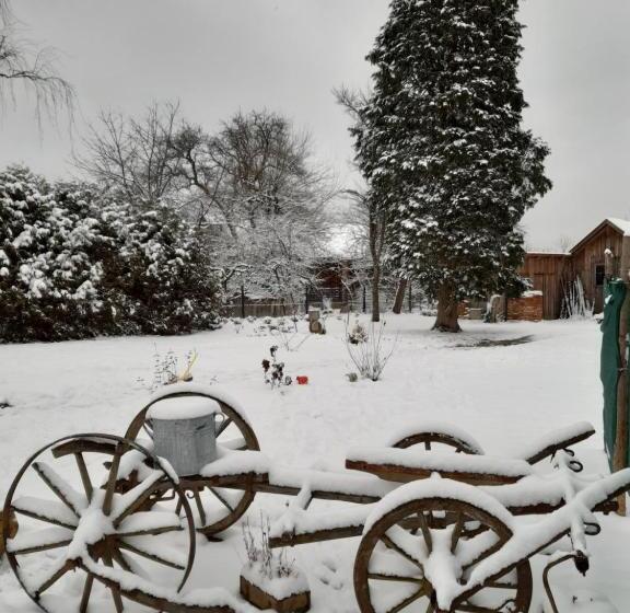 シャレー1寝室, Kiskemence Vendégház Szatta