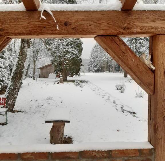 庭の見える１ベッドルームアパートメント, Kiskemence Vendégház Szatta