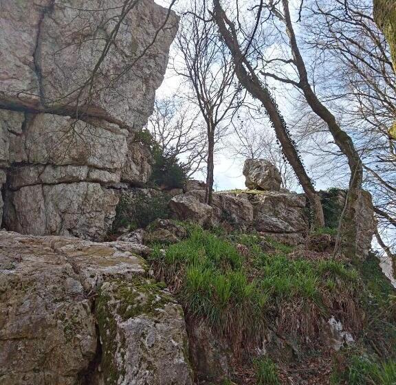 شاليه غرفة نوم واحدة, Le Rocher Du Samoyède