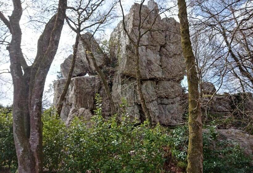 شاليه غرفة نوم واحدة, Le Rocher Du Samoyède