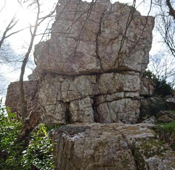 בקתת חדר, Le Rocher Du Samoyède