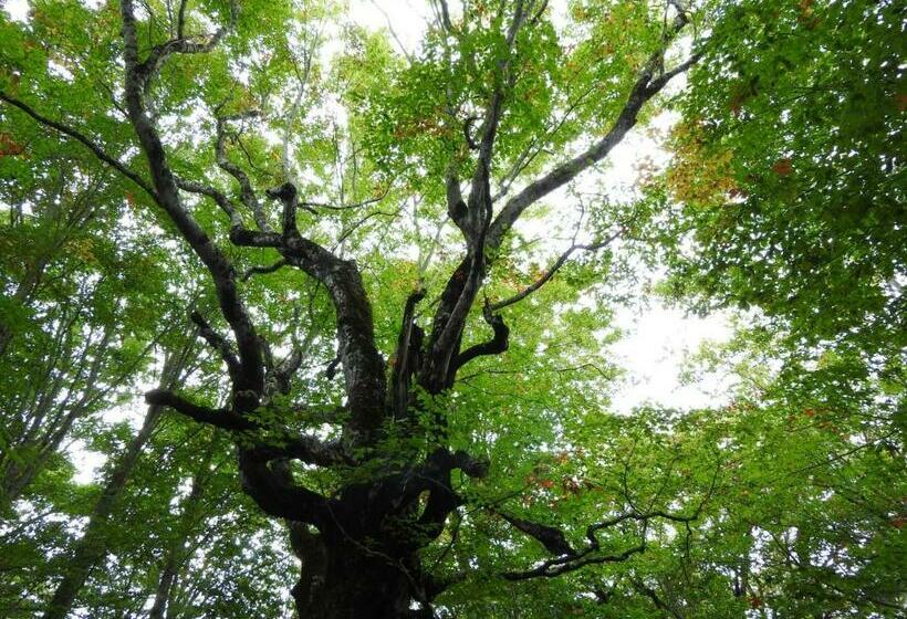 منزل غرفة نوم واحدة, Mori No Bunkou Fuzawa  Vacation Stay 54307v