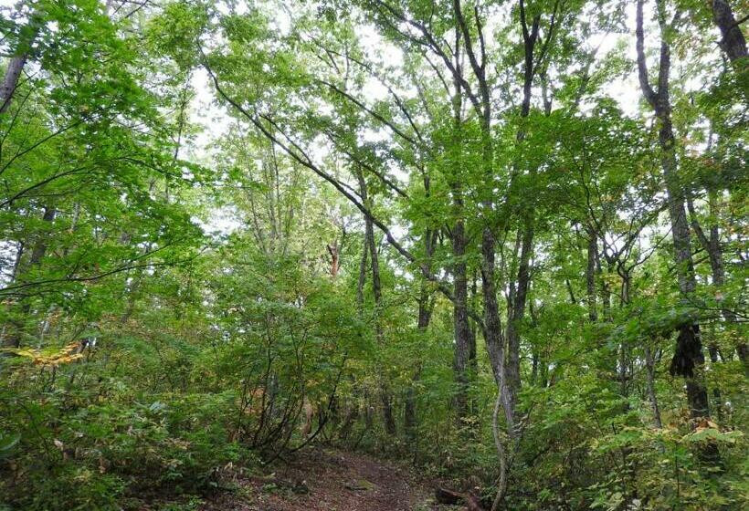 منزل غرفة نوم واحدة, Mori No Bunkou Fuzawa  Vacation Stay 54307v