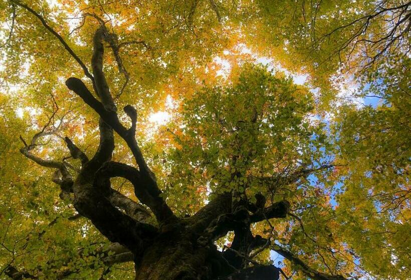 منزل غرفة نوم واحدة, Mori No Bunkou Fuzawa  Vacation Stay 54307v