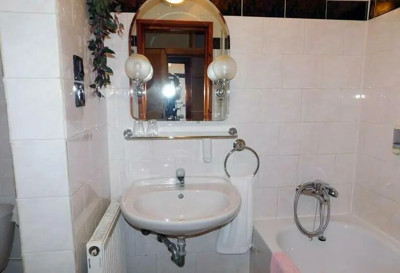 デラックスルーム, Penzión šefčík