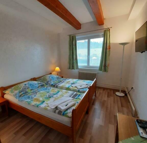 חדר דלוקס, Penzión šefčík