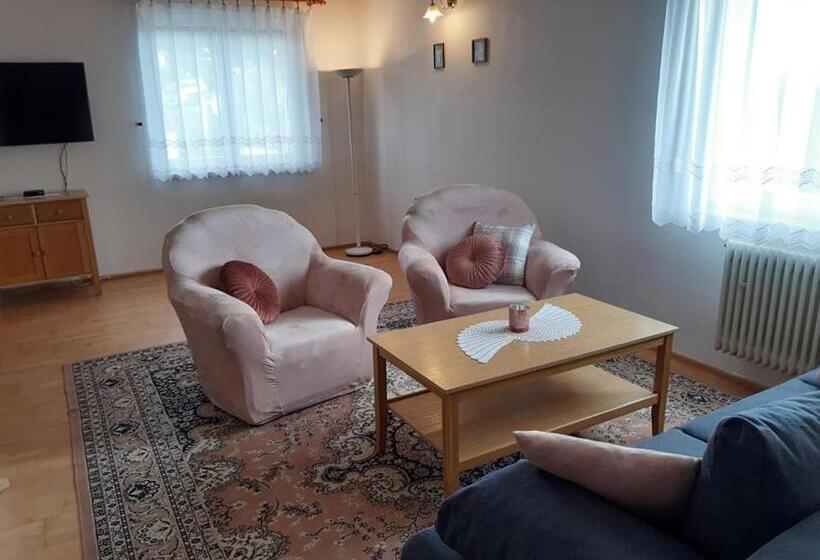 דירת חדר דלוקס, Penzión šefčík