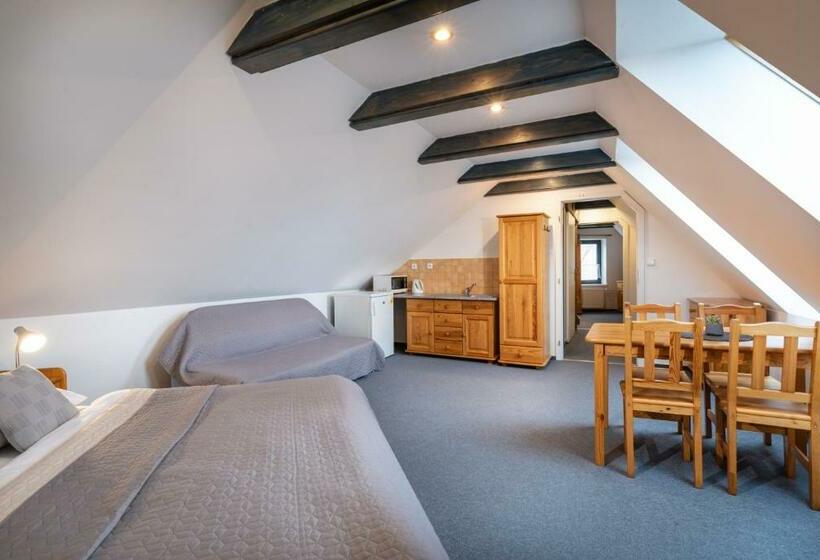 شقة غرفتين, Penzion Za Mlynom